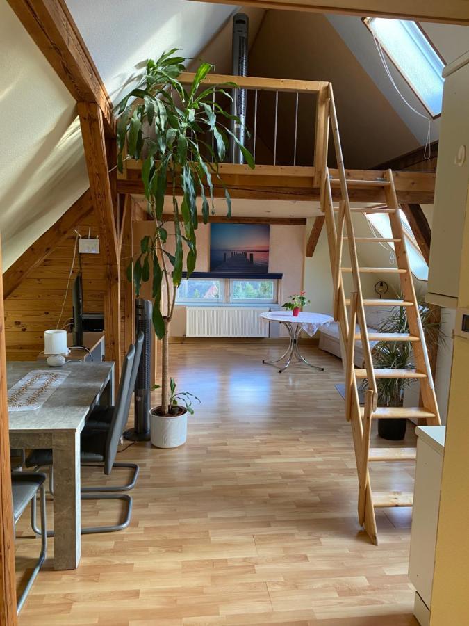 Helles Und Charmantes Loft Mit Herrlichem Blick Δρέσδη Εξωτερικό φωτογραφία