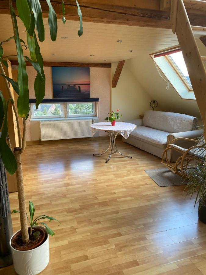 Helles Und Charmantes Loft Mit Herrlichem Blick Δρέσδη Εξωτερικό φωτογραφία