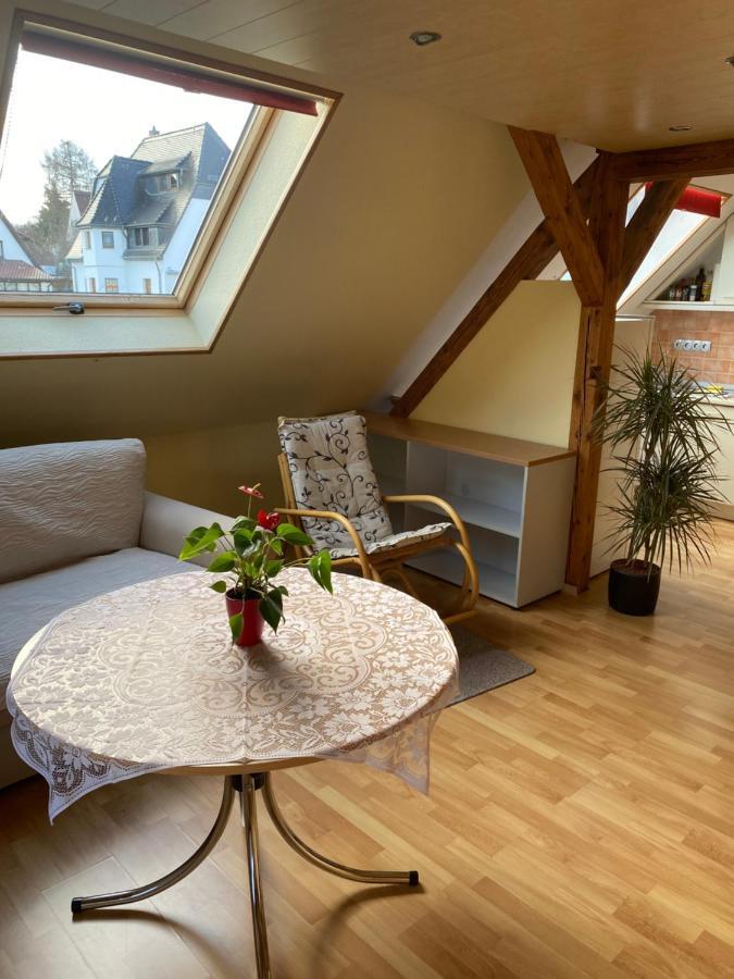 Helles Und Charmantes Loft Mit Herrlichem Blick Δρέσδη Εξωτερικό φωτογραφία