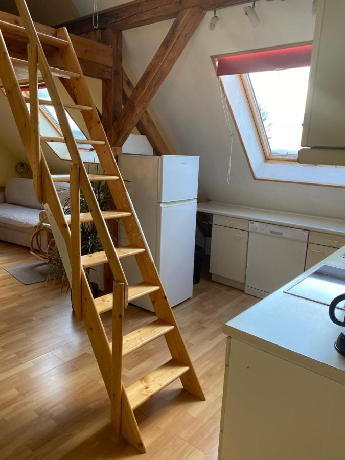 Helles Und Charmantes Loft Mit Herrlichem Blick Δρέσδη Εξωτερικό φωτογραφία