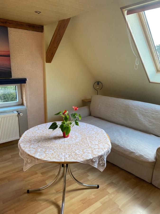 Helles Und Charmantes Loft Mit Herrlichem Blick Δρέσδη Εξωτερικό φωτογραφία