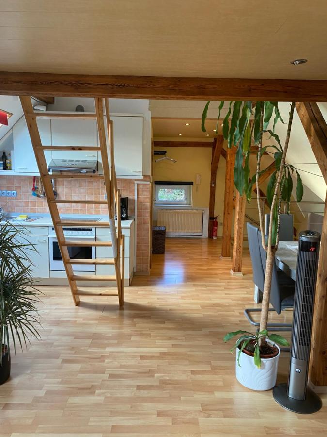 Helles Und Charmantes Loft Mit Herrlichem Blick Δρέσδη Εξωτερικό φωτογραφία